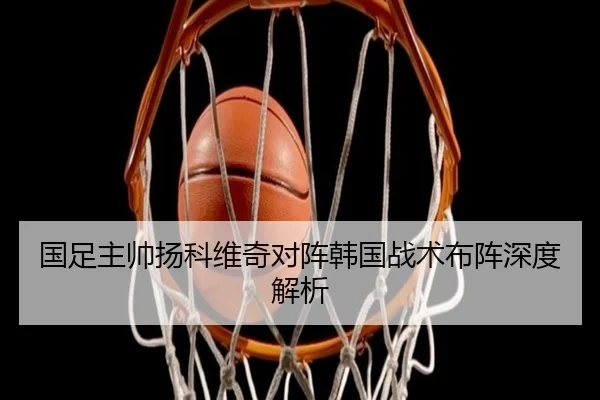 国足主帅扬科维奇对阵韩国战术布阵深度解析